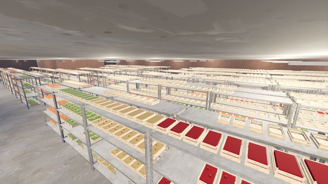 Inside the warehouse: aisles of steel racking stacked with produce crates